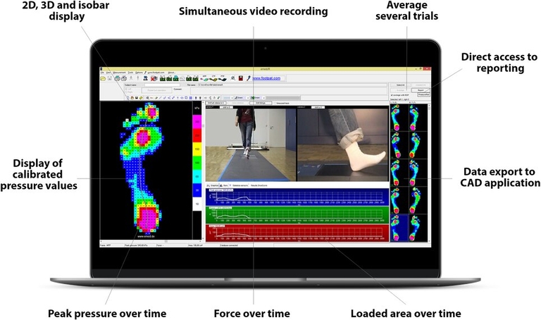 emed pedography software